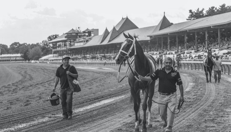 Sports betting industry