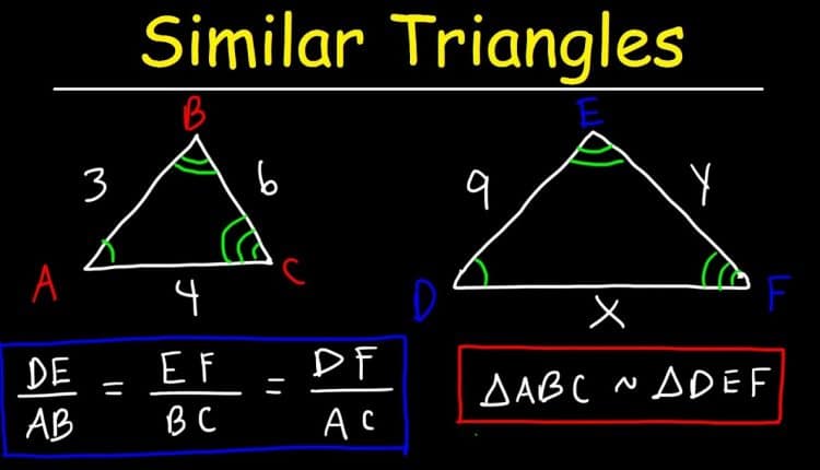 Fundamental Portion of Mathematics