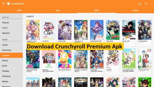 Free Crunchyroll Username and Password 2022